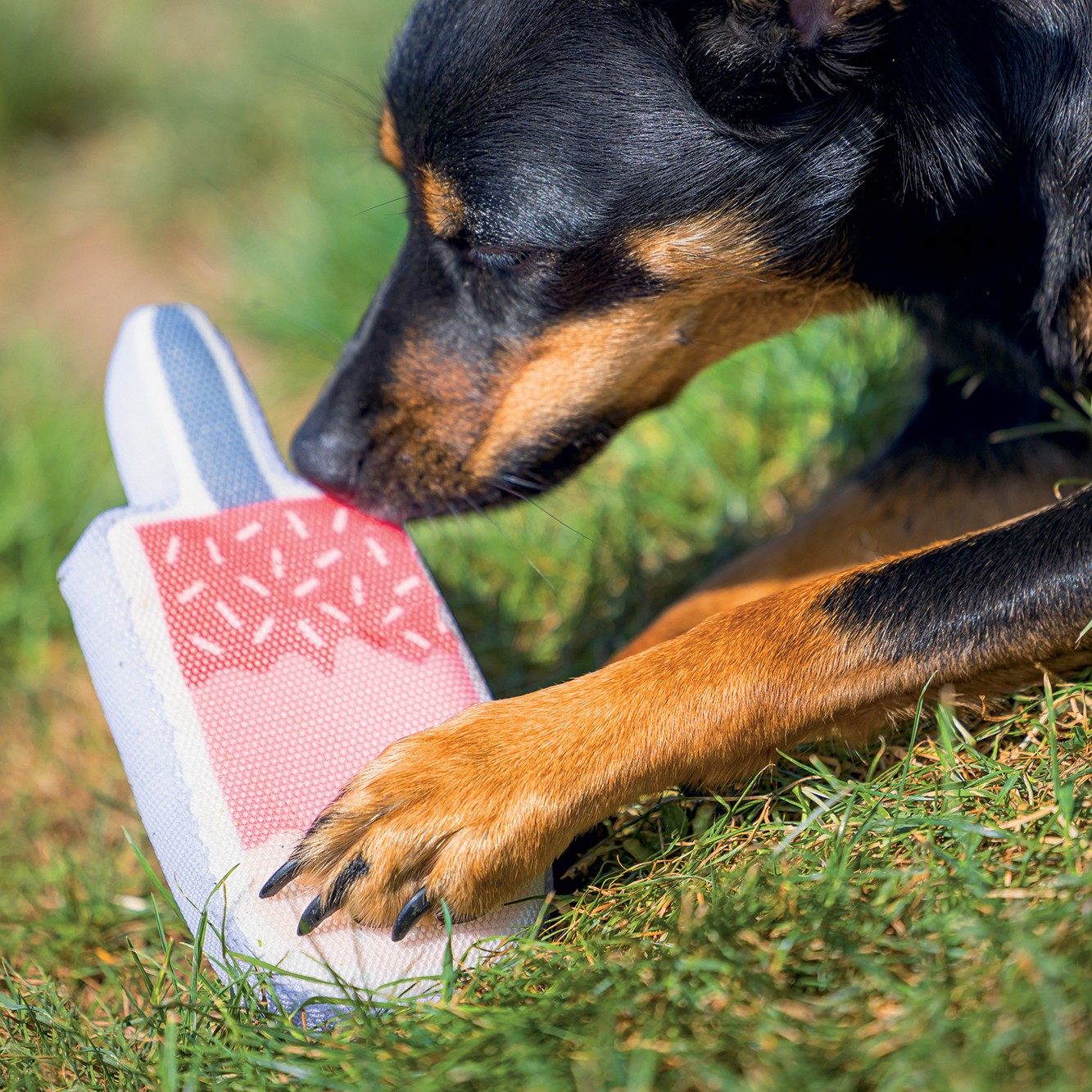 Jouet flottant Glace
