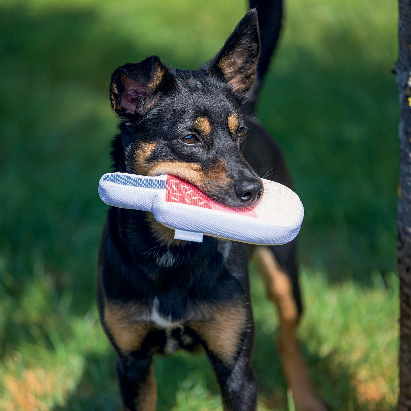 Jouet flottant Glace