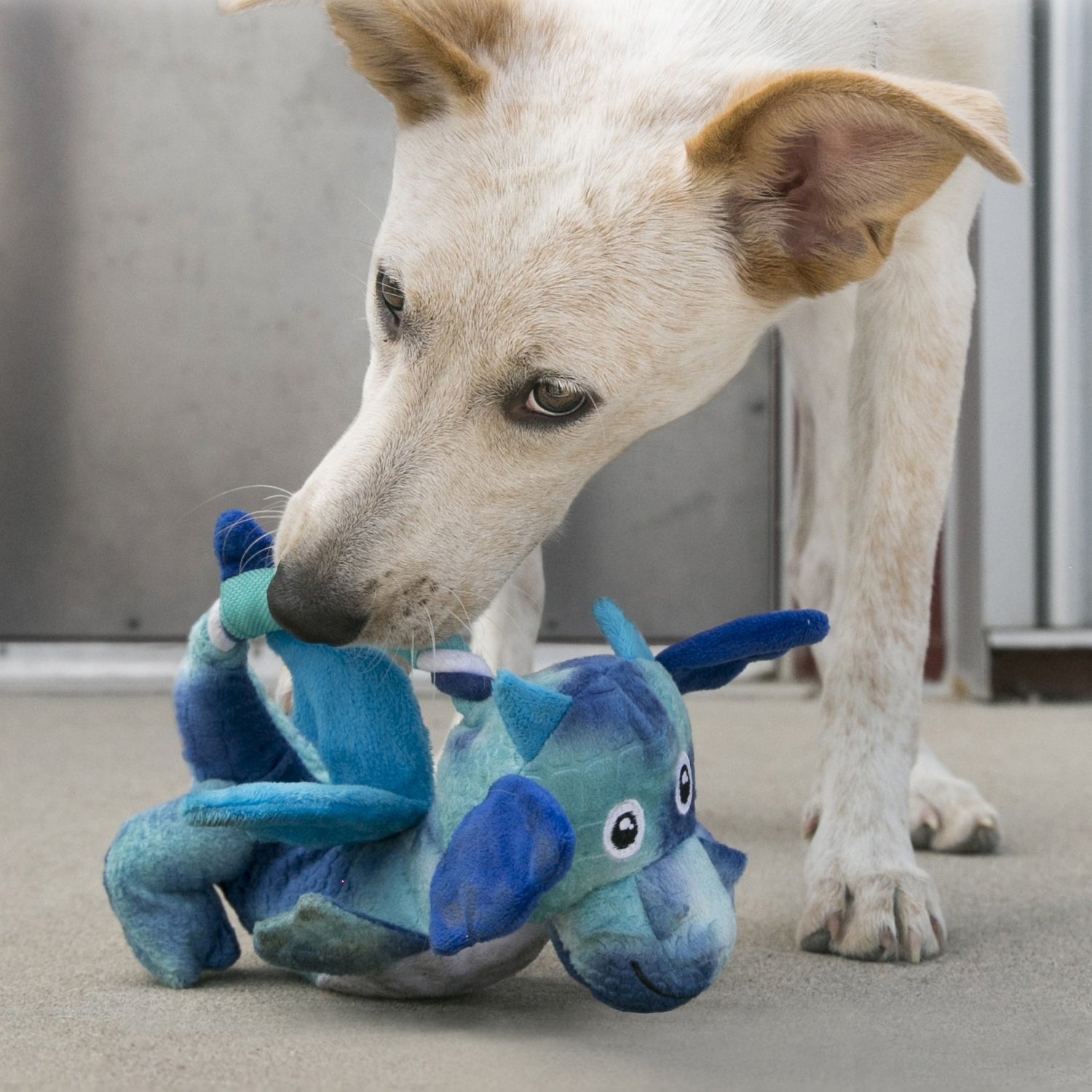 Peluche sifflante Dragon Knots