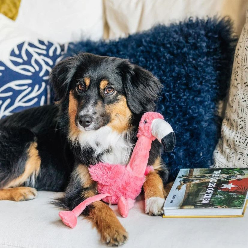 Peluche Shakers Honkers Flamingo