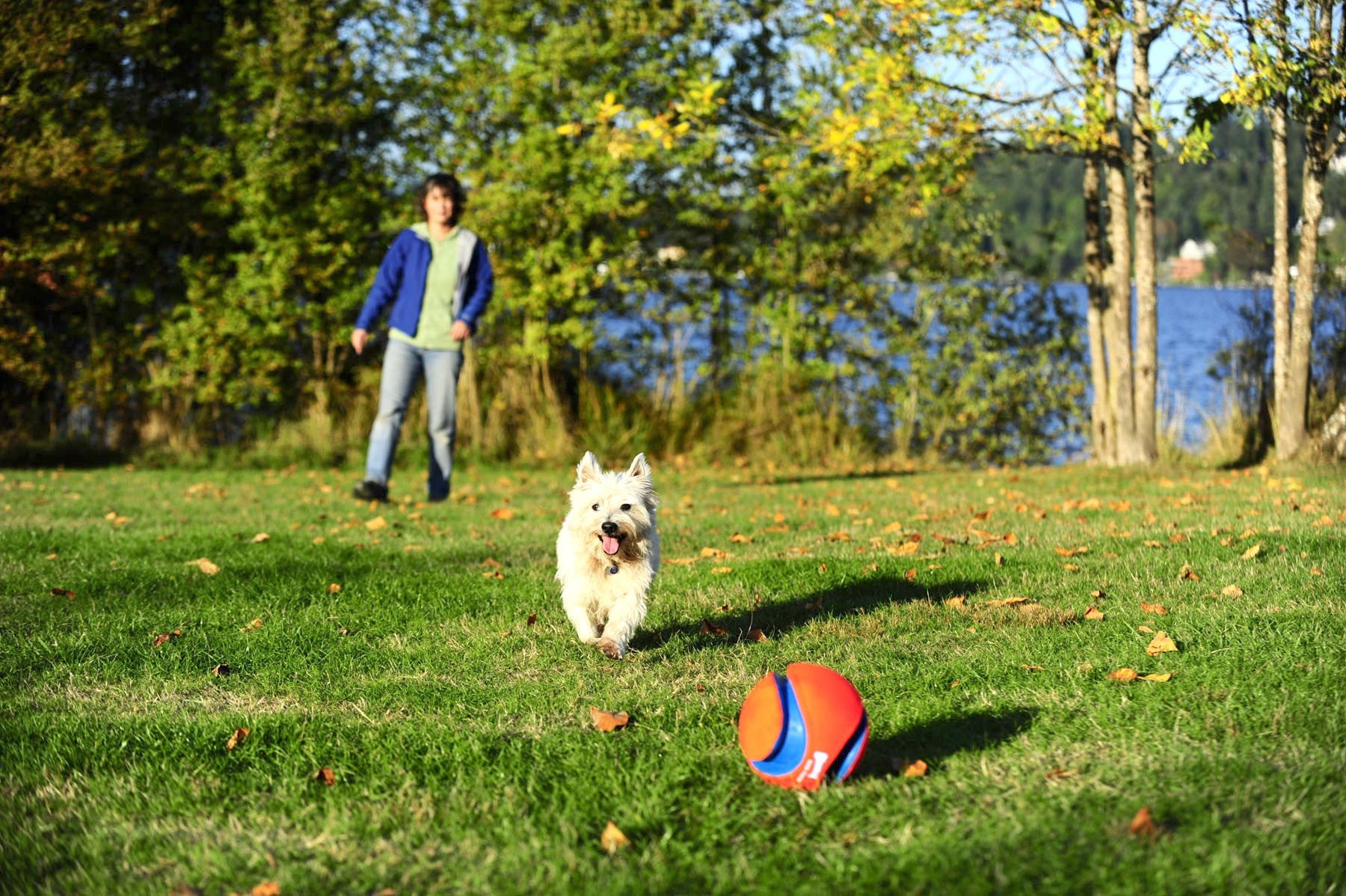 Ballon Kick Fetch