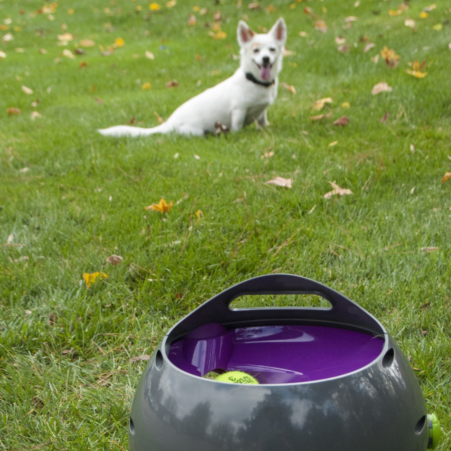 Lanceur de balles automatique