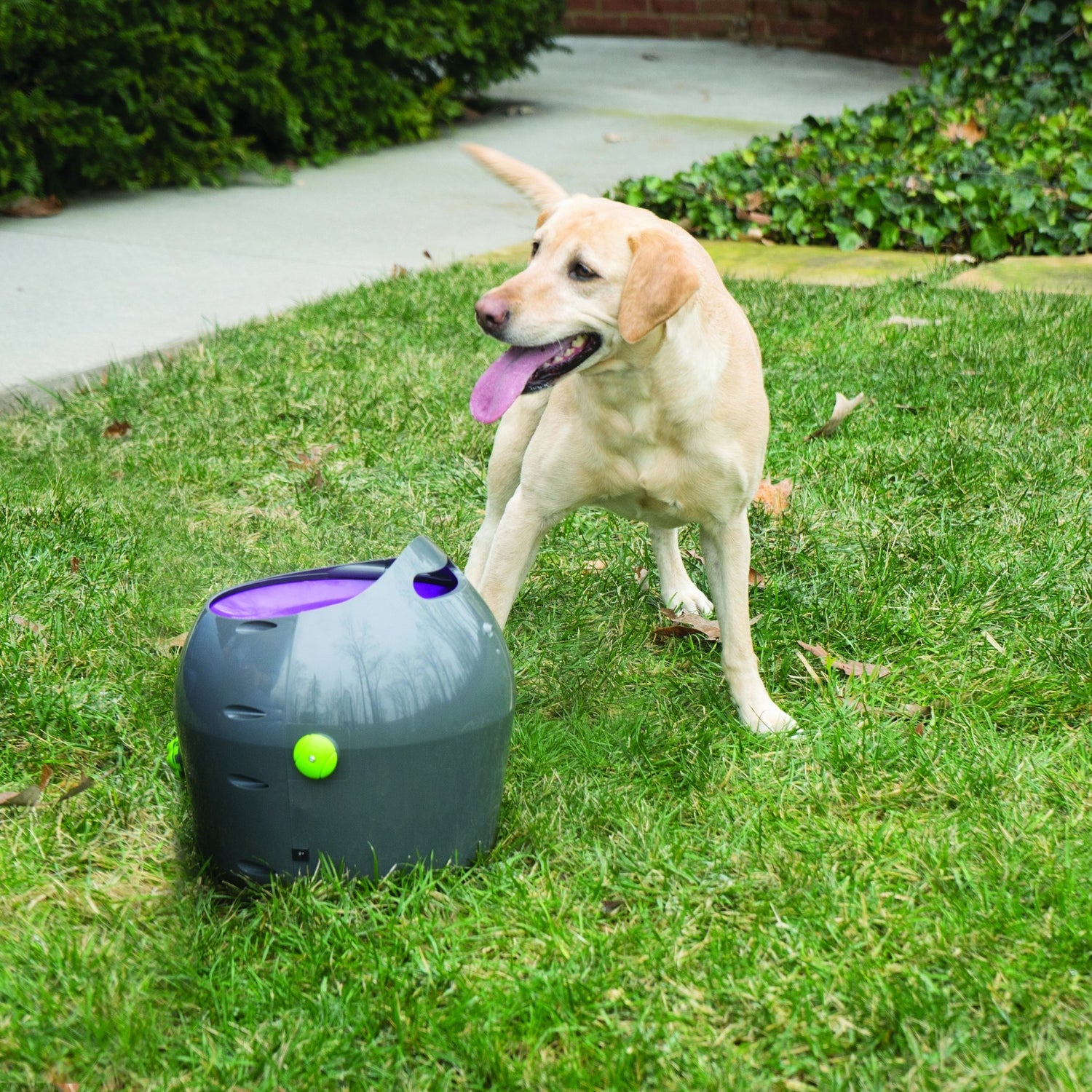 Lanceur de balles automatique
