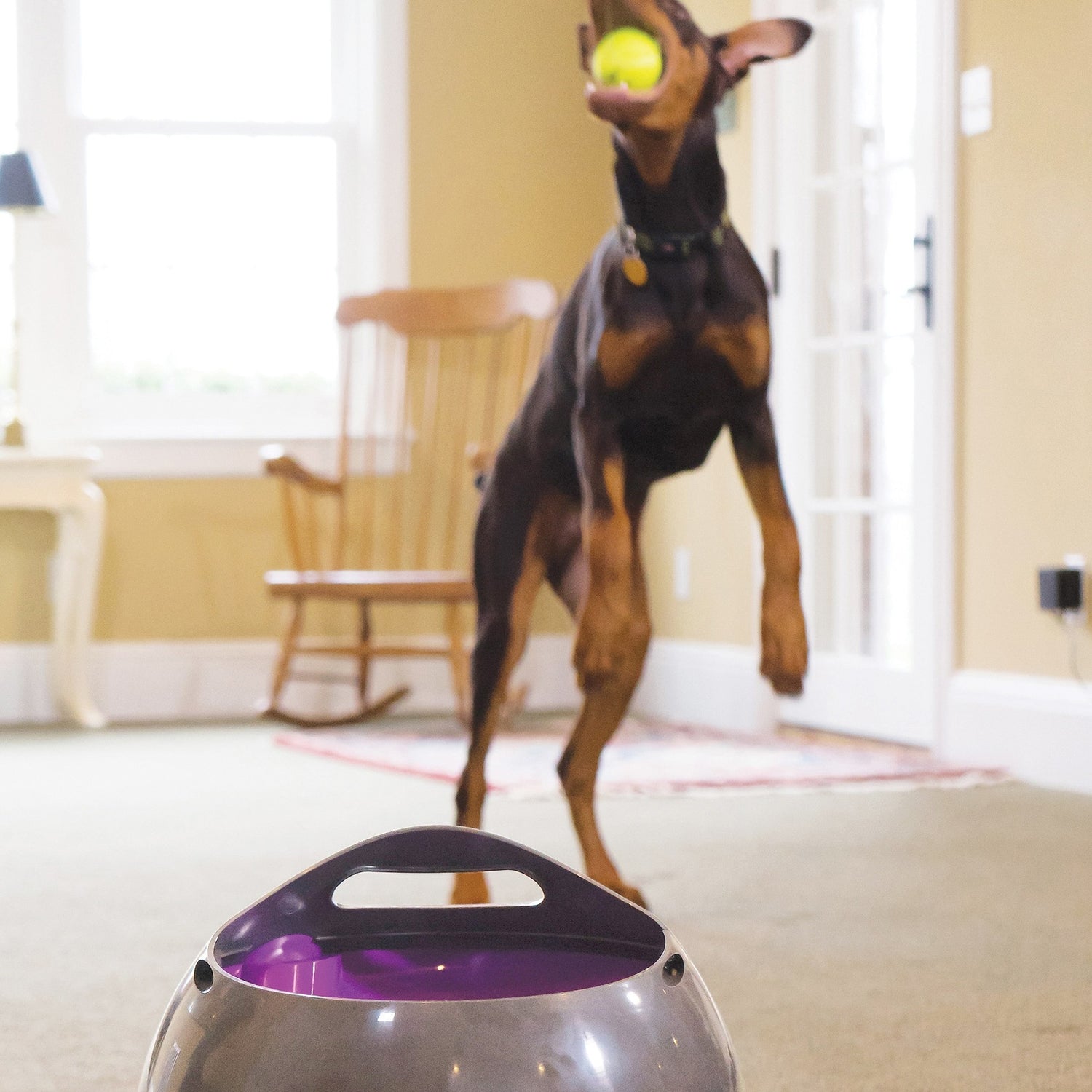 Lanceur de balles automatique