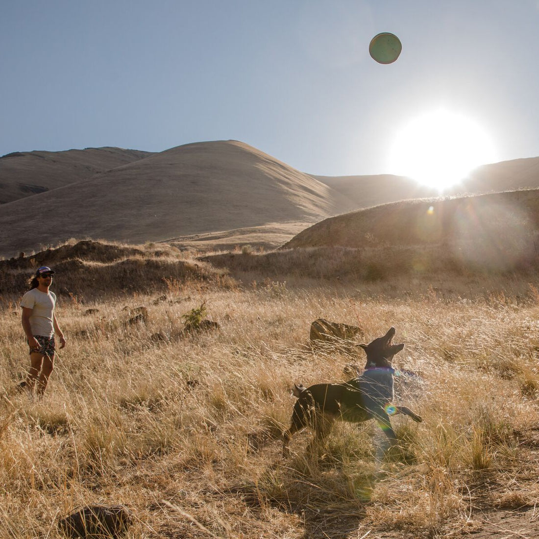 Frisbee Hover Craft™
