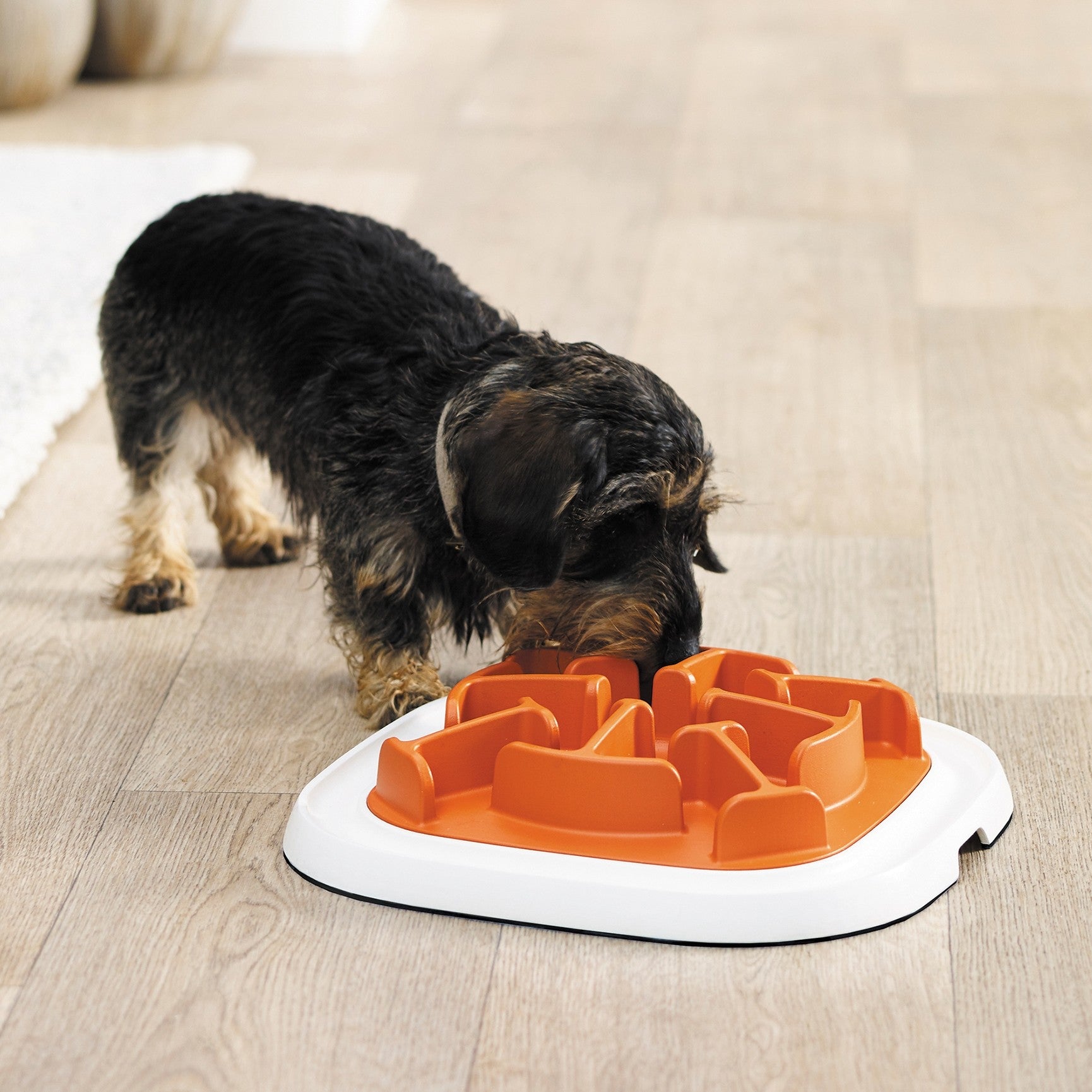 Jouet éducatif Enigma - Niveau Débutant