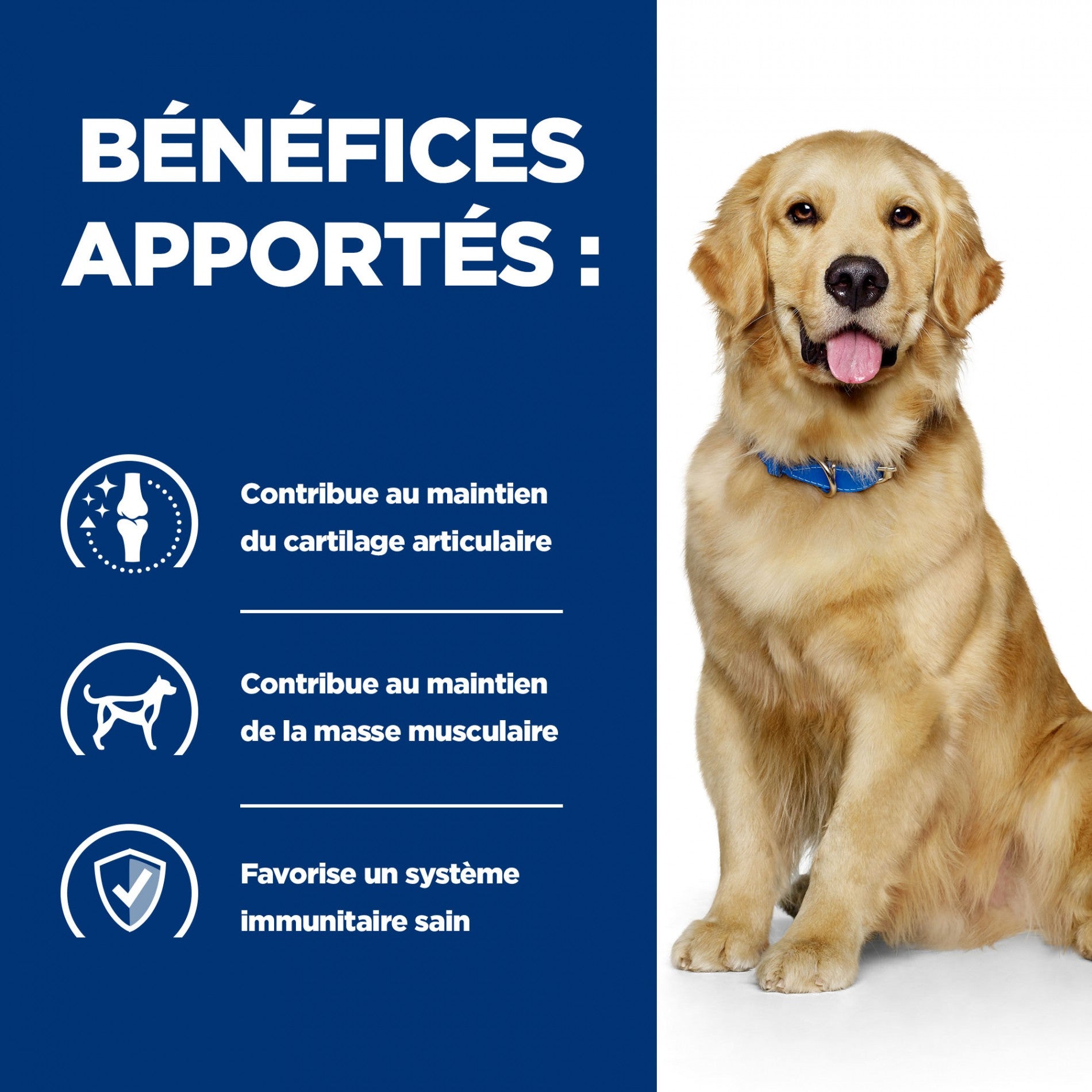 HILL’S Prescription Diet j/d Mobility en Boîtes au Poulet – Pâtée pour chien