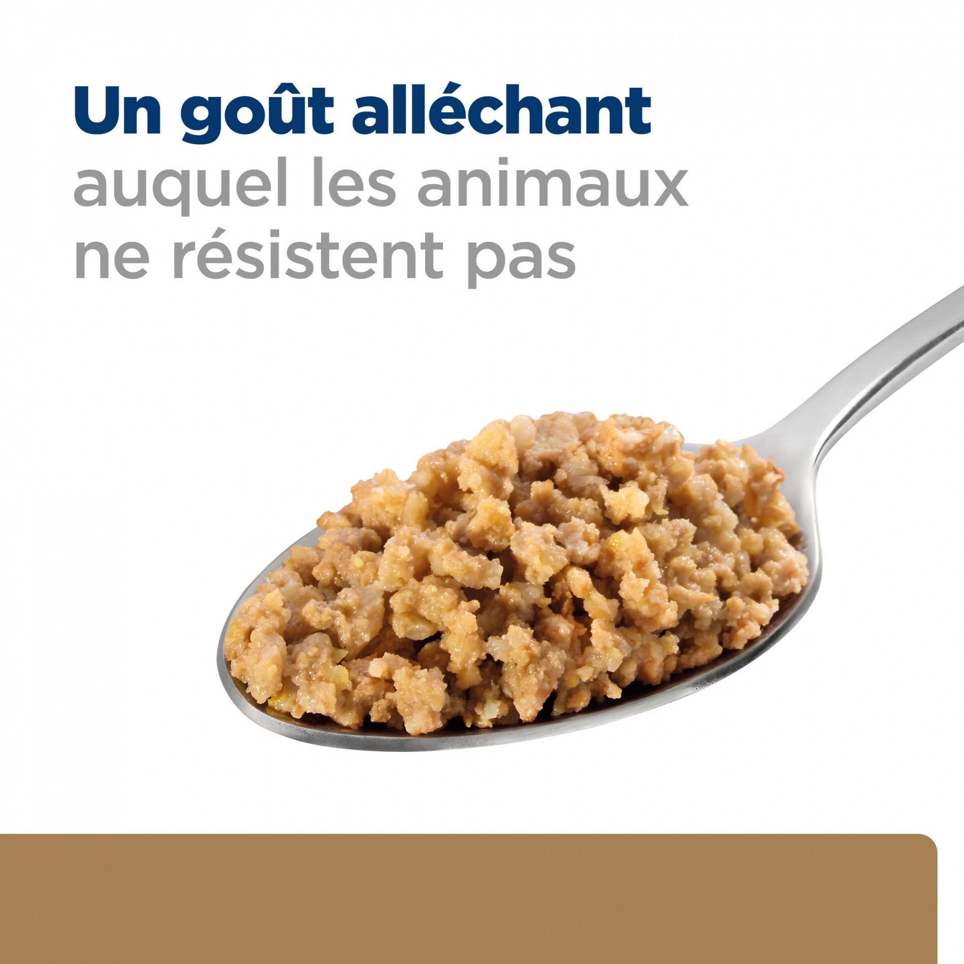 HILL’S Prescription Diet j/d Mobility en Boîtes au Poulet – Pâtée pour chien
