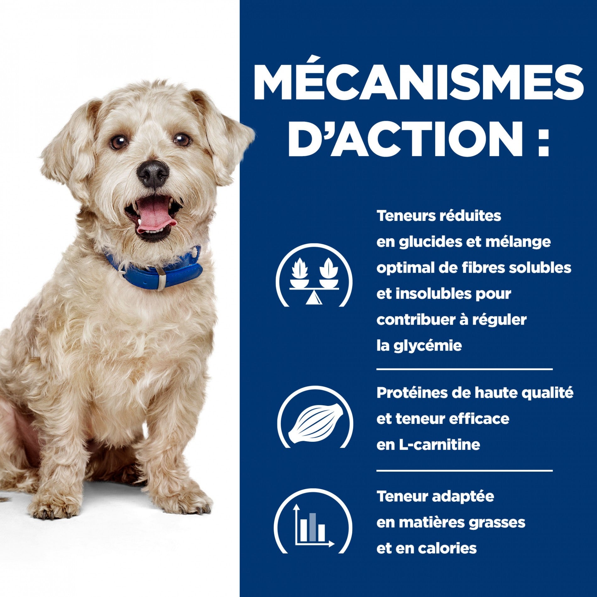 HILL’S Prescription Diet w/d Diabetes Care en Boîtes au Poulet – Pâtée pour chien