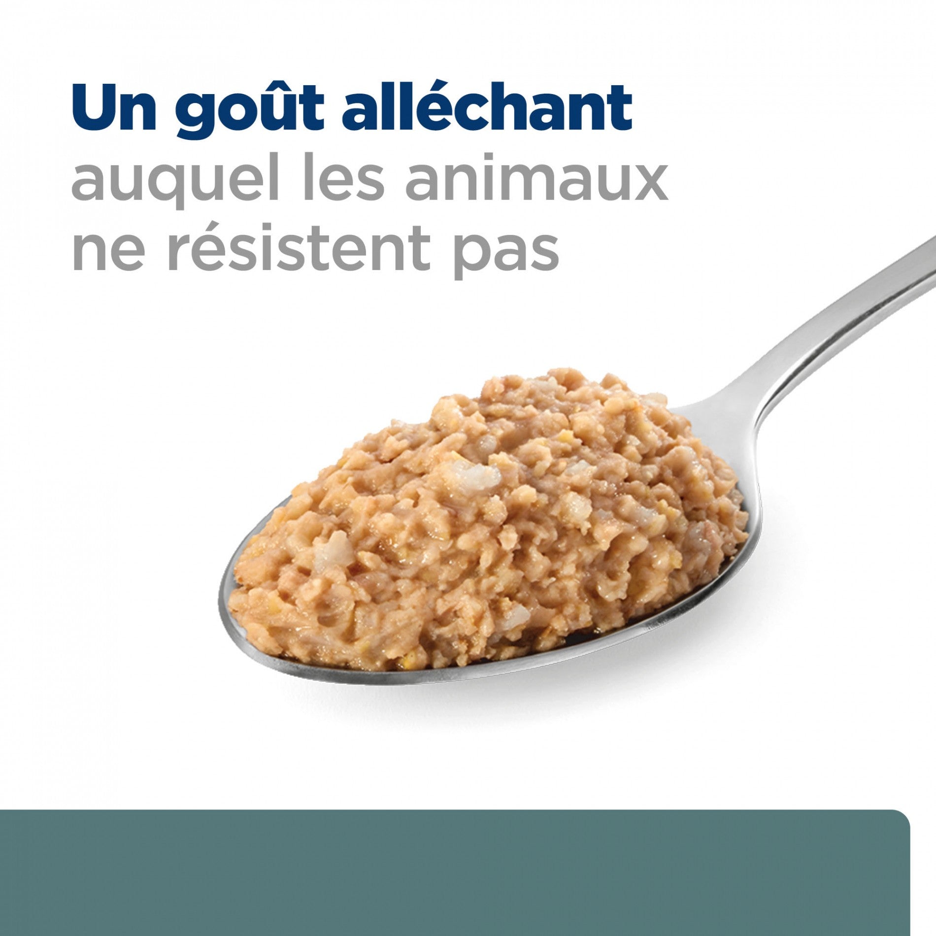 HILL’S Prescription Diet w/d Diabetes Care en Boîtes au Poulet – Pâtée pour chien