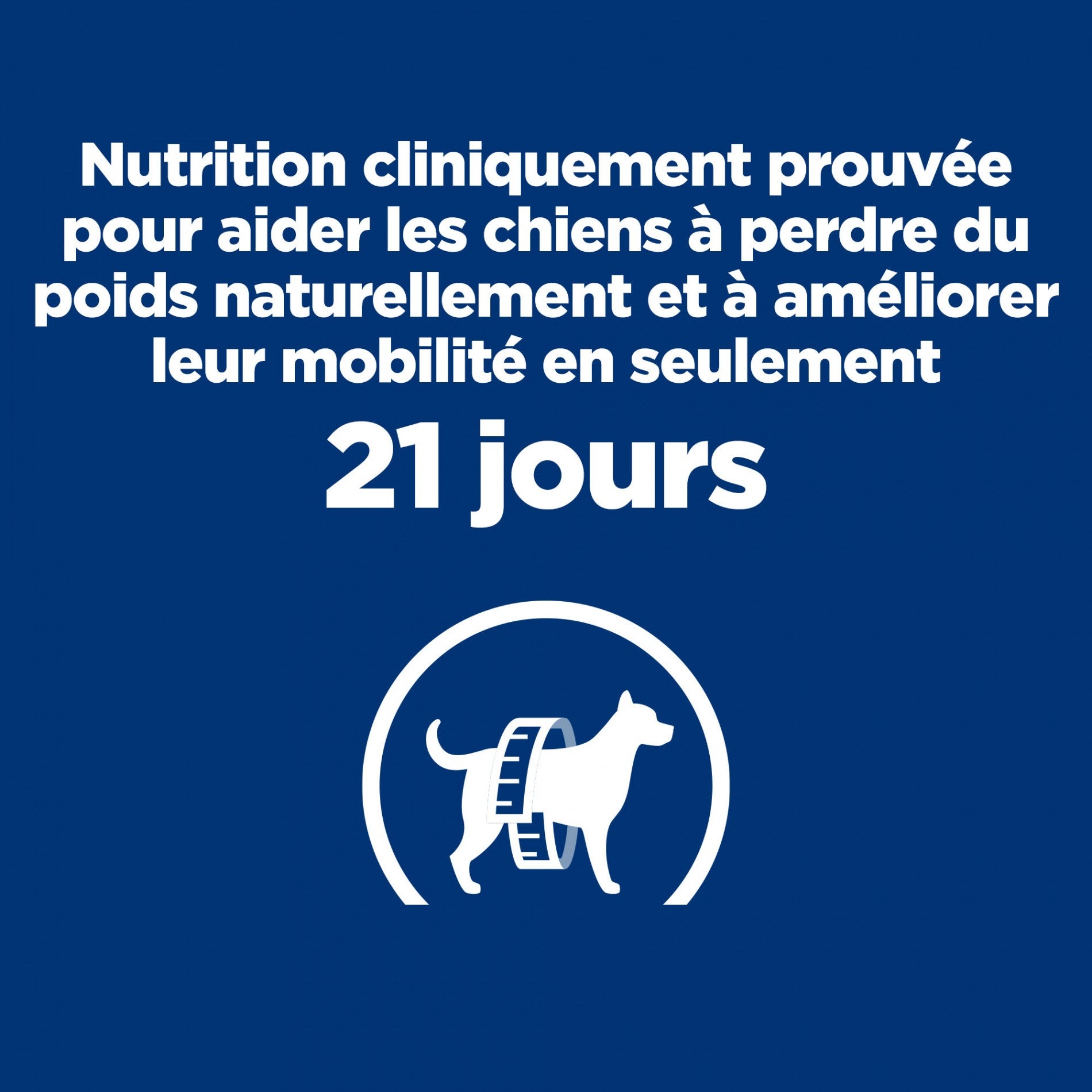 HILL’S Prescription Diet j/d Metabolic+Mobility en Boîtes au Poulet – Pâtée pour chien