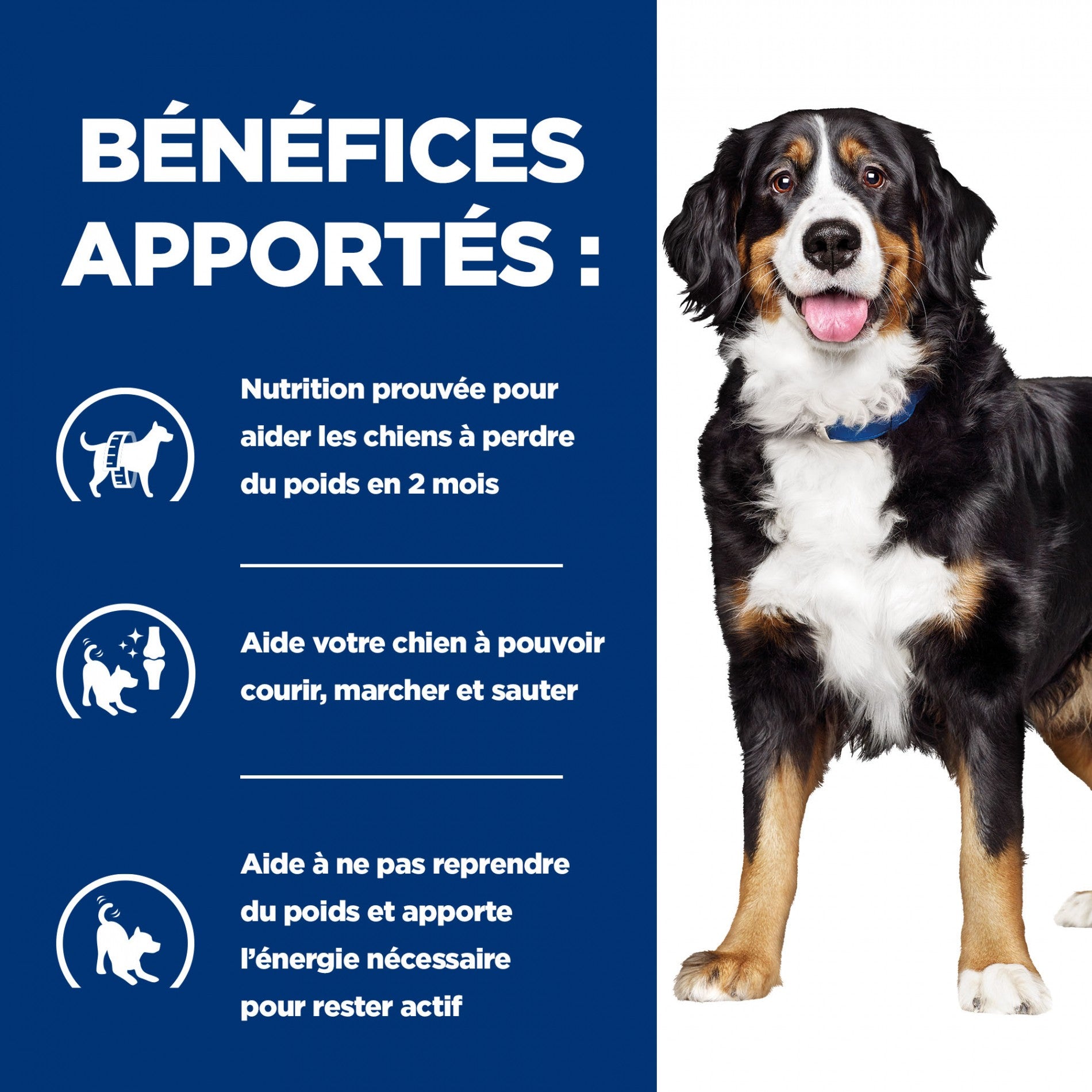 HILL’S Prescription Diet j/d Metabolic+Mobility en Boîtes au Poulet – Pâtée pour chien