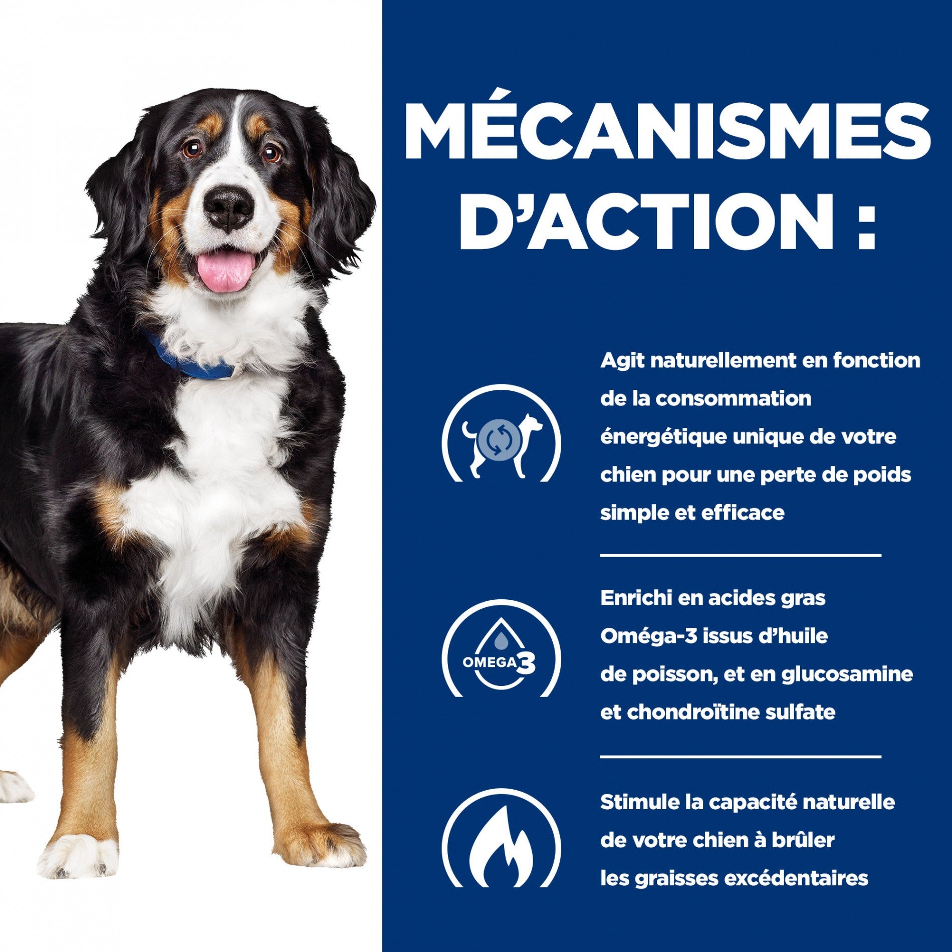 HILL’S Prescription Diet j/d Metabolic+Mobility en Boîtes au Poulet – Pâtée pour chien
