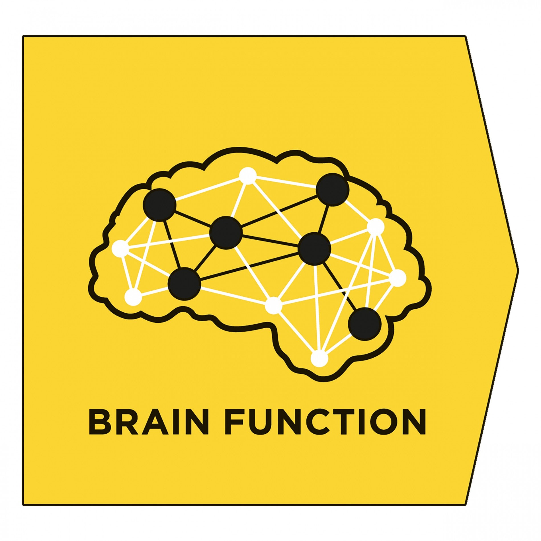 Proplan Veterinary Diets NC NeuroCare