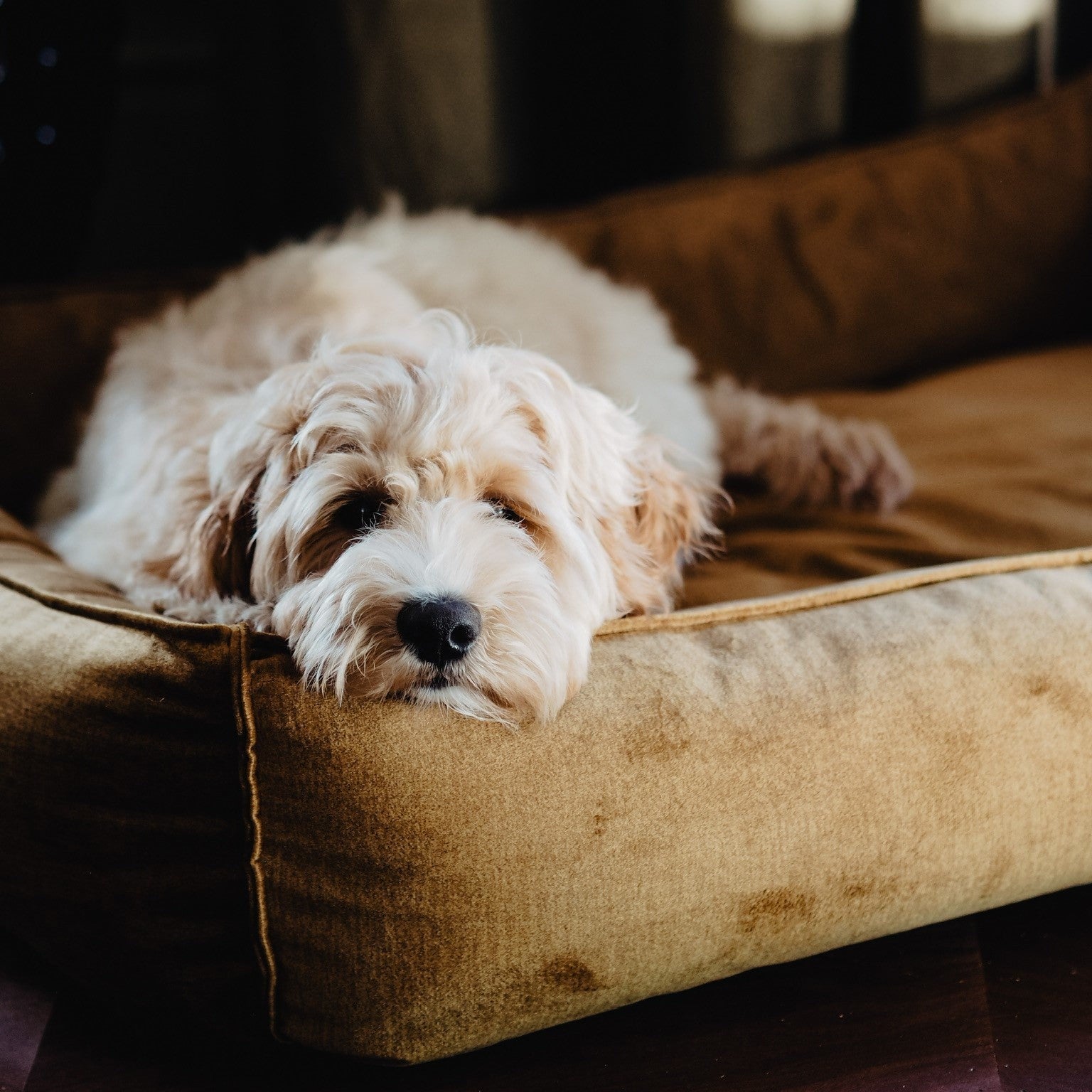 Panier Shimmer - Jaune ocre