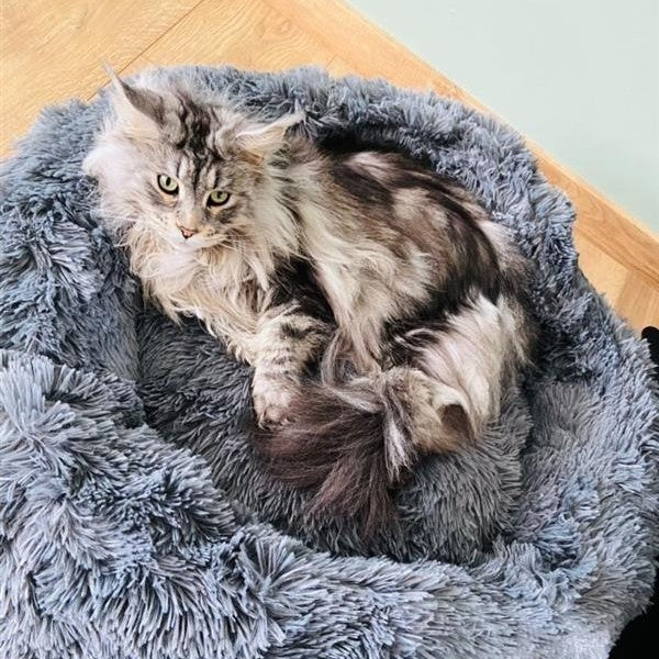 Corbeille Cocoon Anthracite