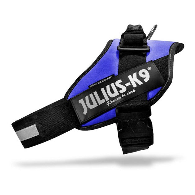 Harnais IDC Power Bleu