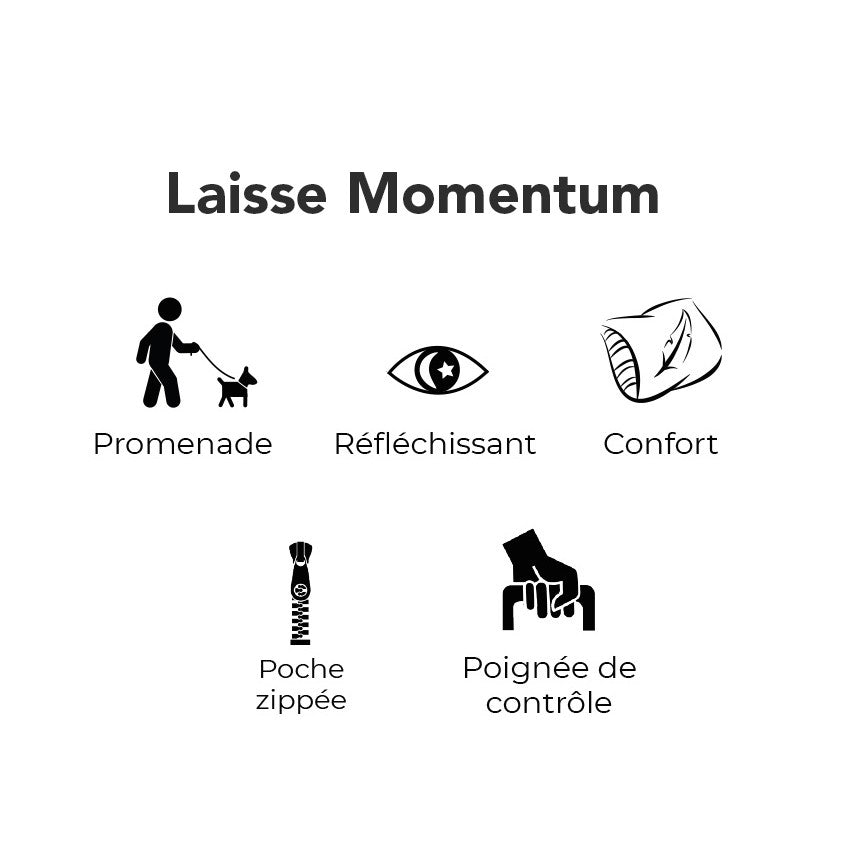 Laisse Momentum pour chien
