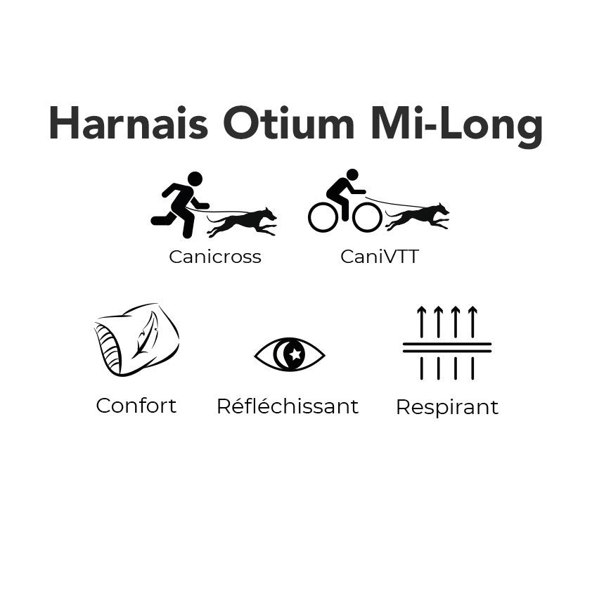 Harnais de traction Otium pour chien