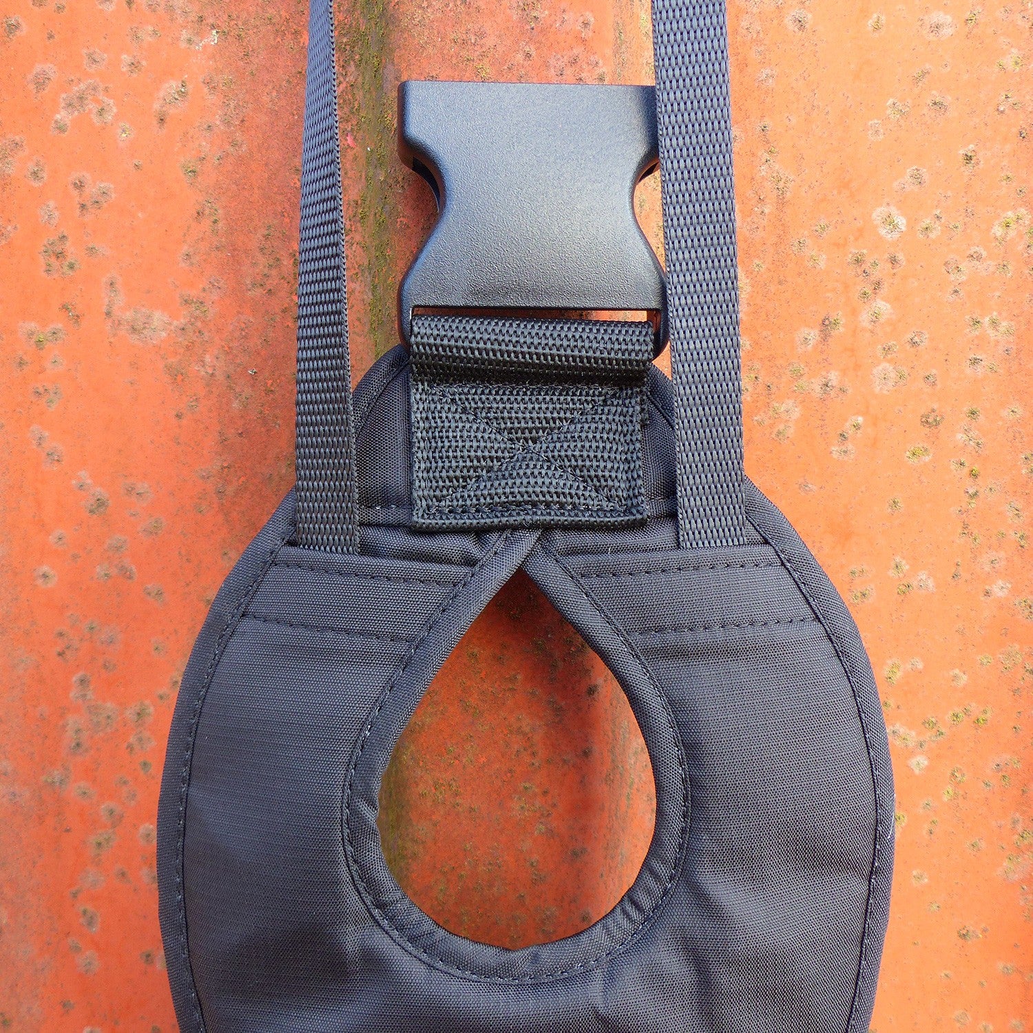 Ceinture Ludus pour cani-rando, canicross