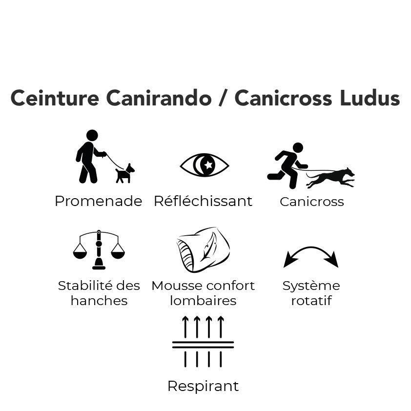 Ceinture Ludus pour cani-rando, canicross