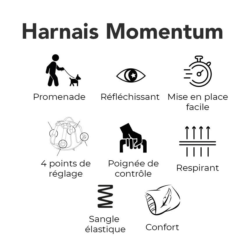 Harnais Momentum Cuivre