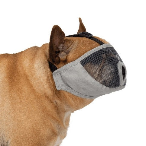 Muselière pour museau court