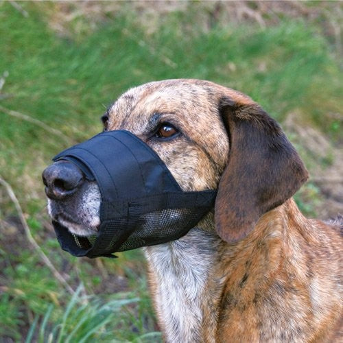 Muselière Filet en nylon