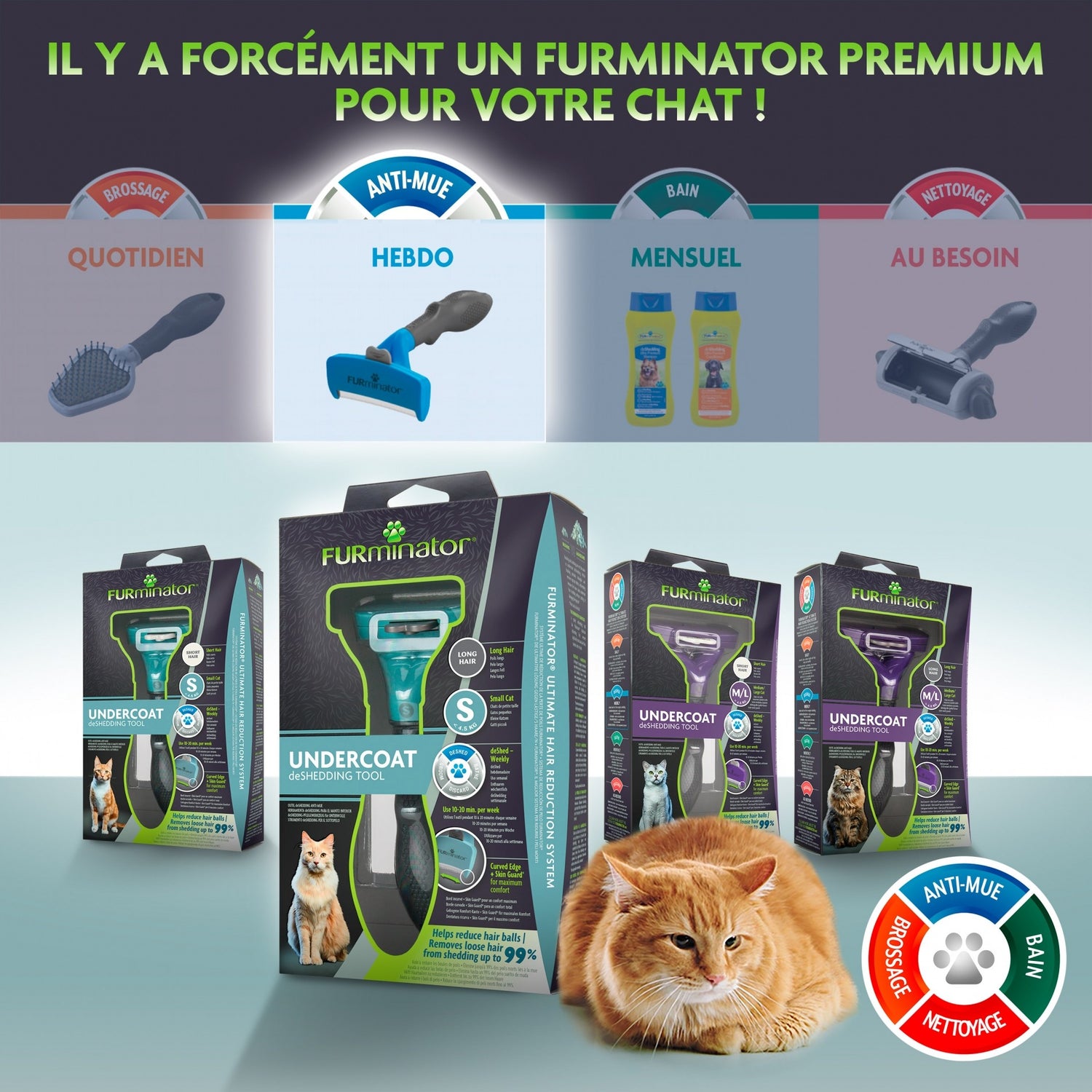 Brosse Furminator poils courts