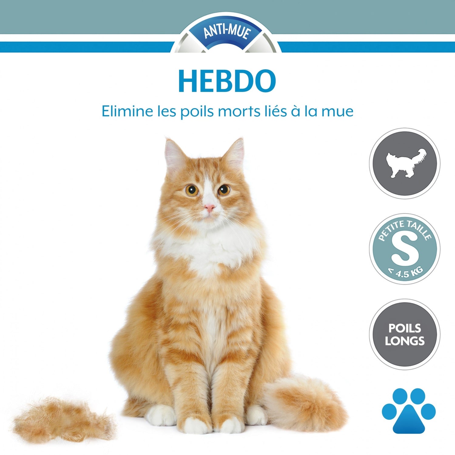 Brosse Furminator poils courts