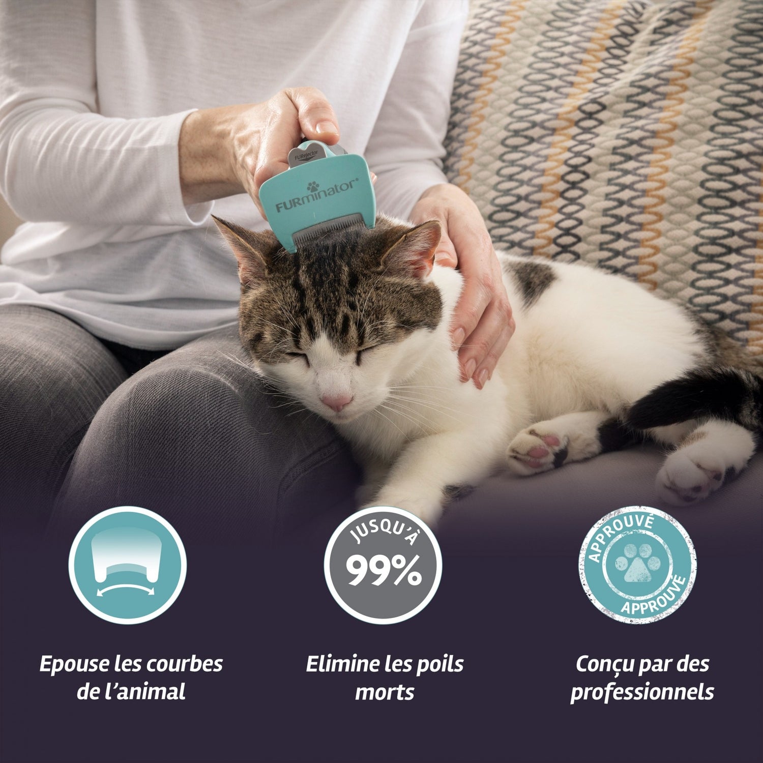 Brosse Furminator poils courts