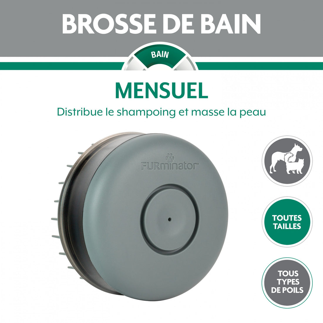 Brosse de bain