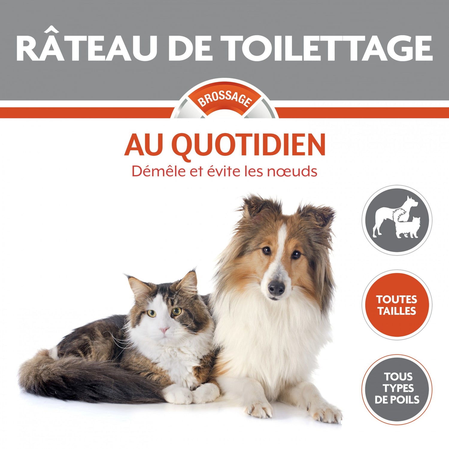Râteau de toilettage