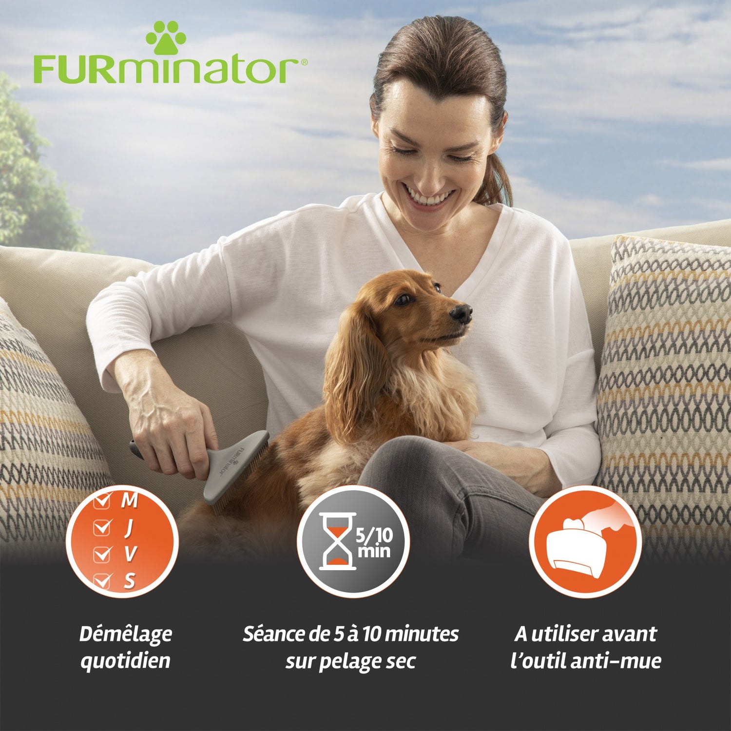 Râteau de toilettage