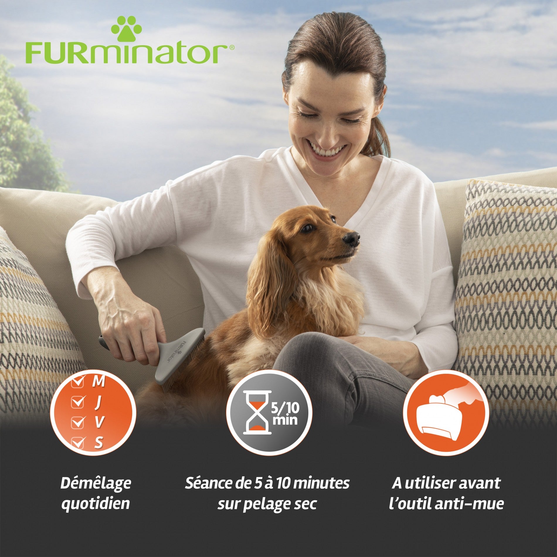 Râteau de toilettage