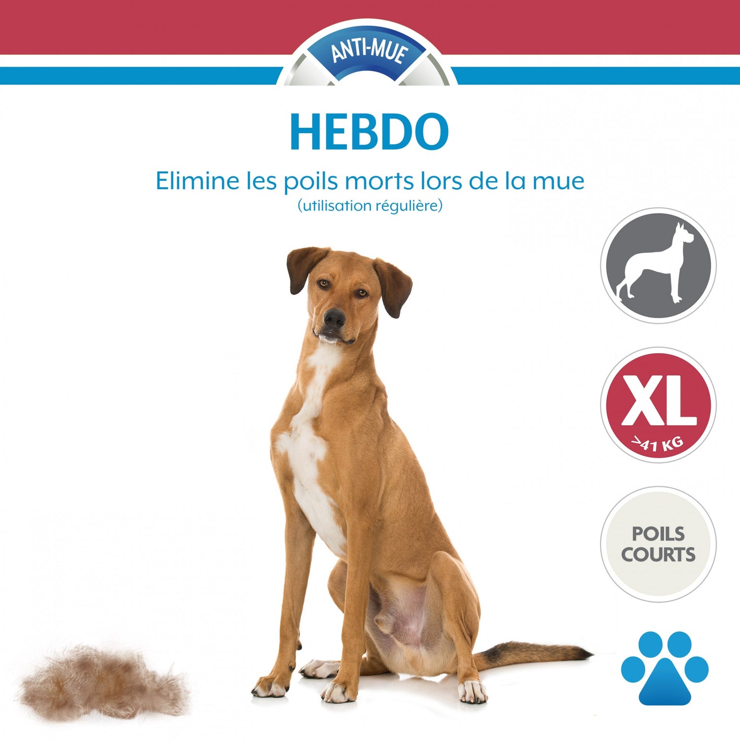 Brosse Furminator poils courts