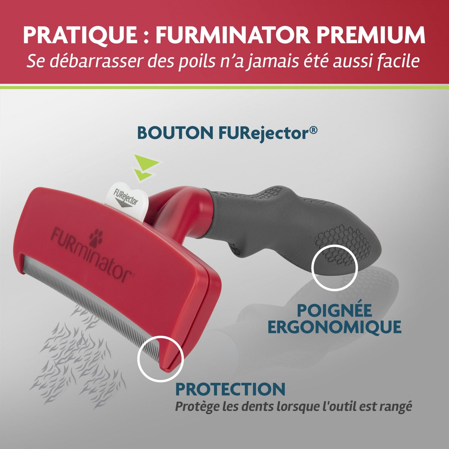 Brosse Furminator poils courts