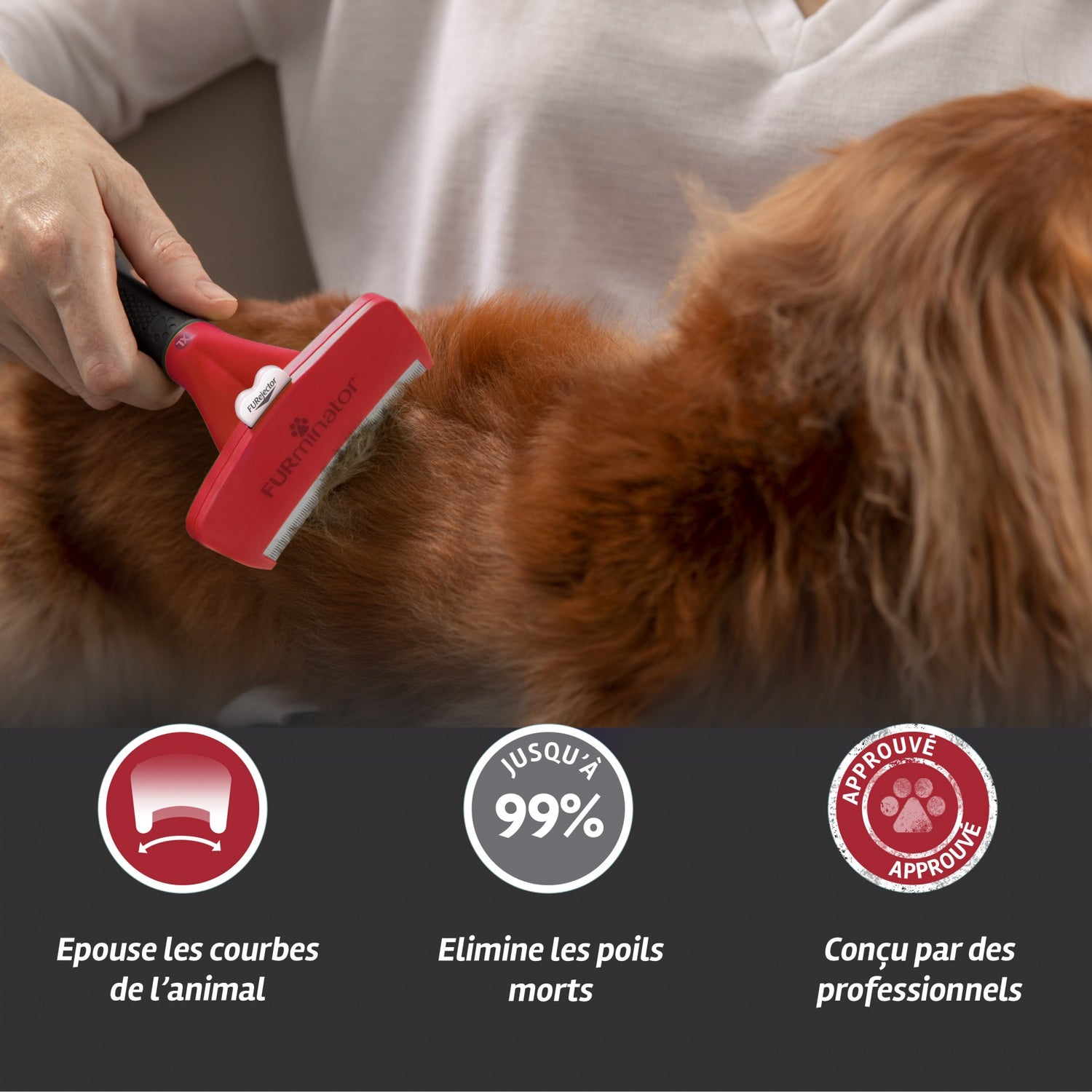 Brosse Furminator poils courts