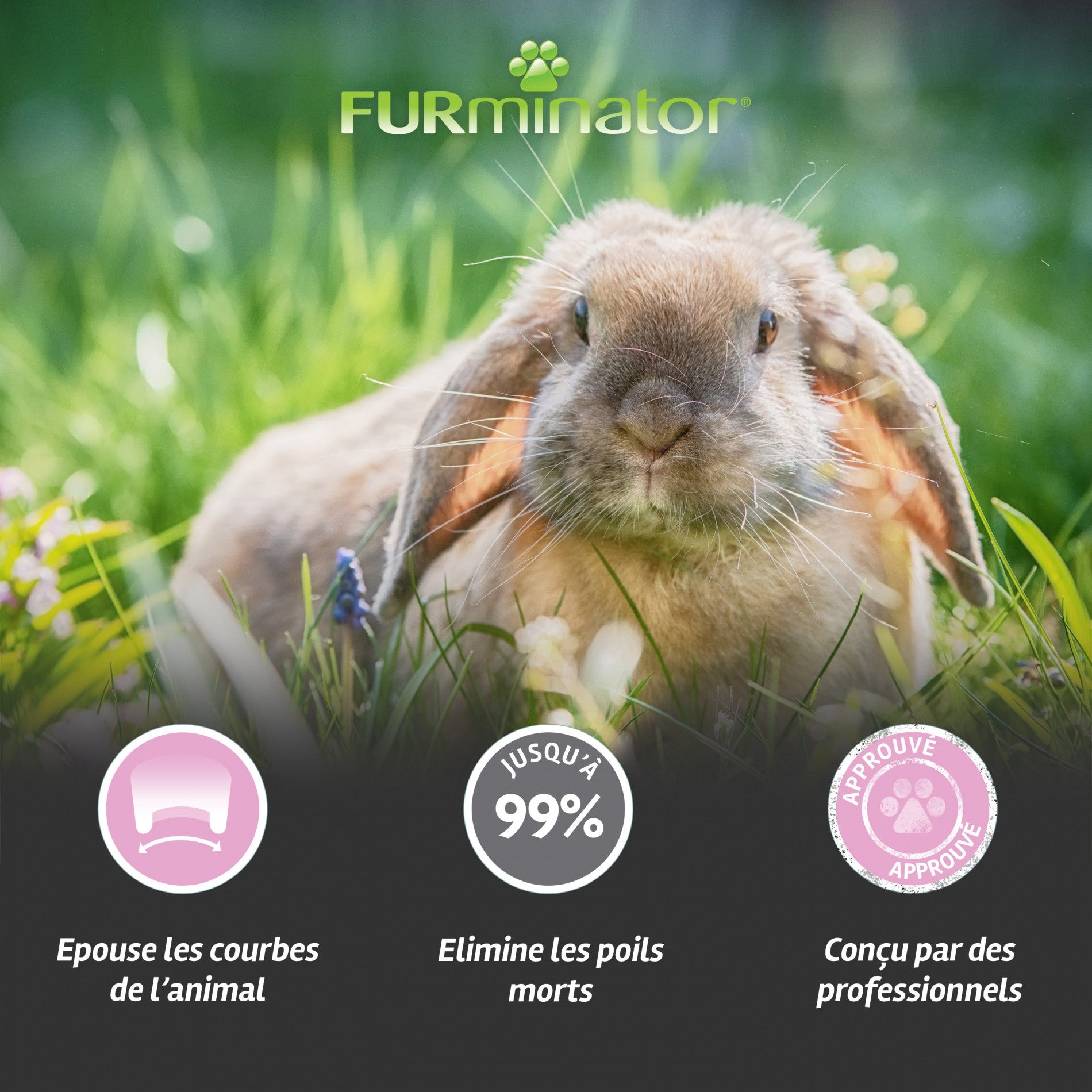 Brosse anti-mue pour petits animaux