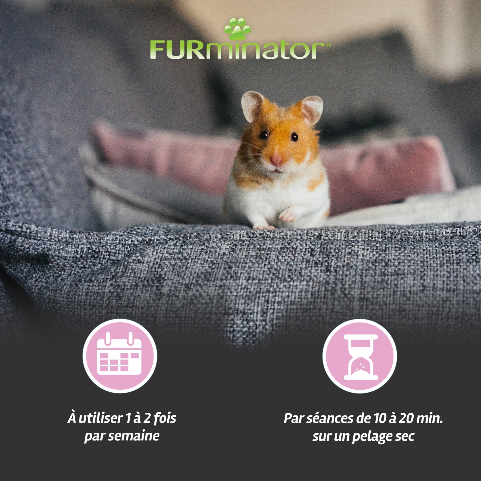 Brosse anti-mue pour petits animaux