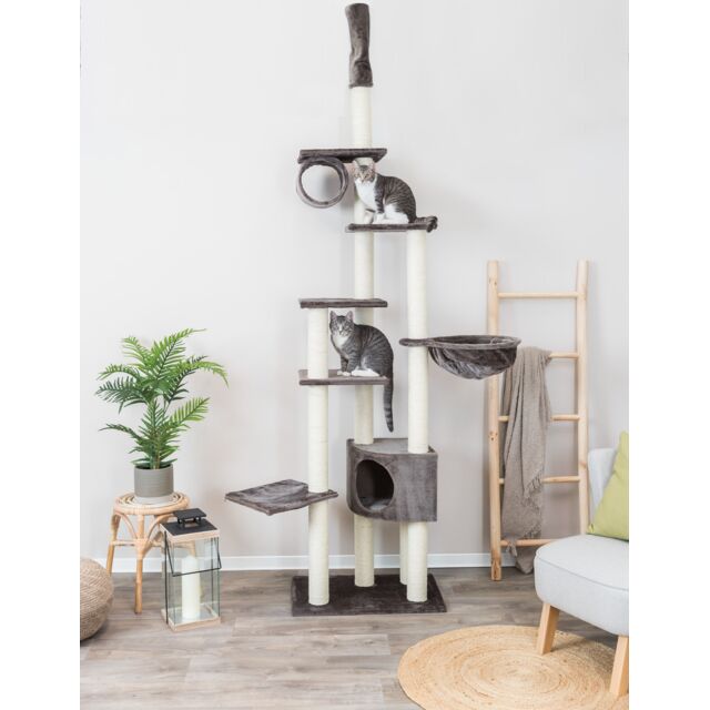 Arbre à chat Madrid