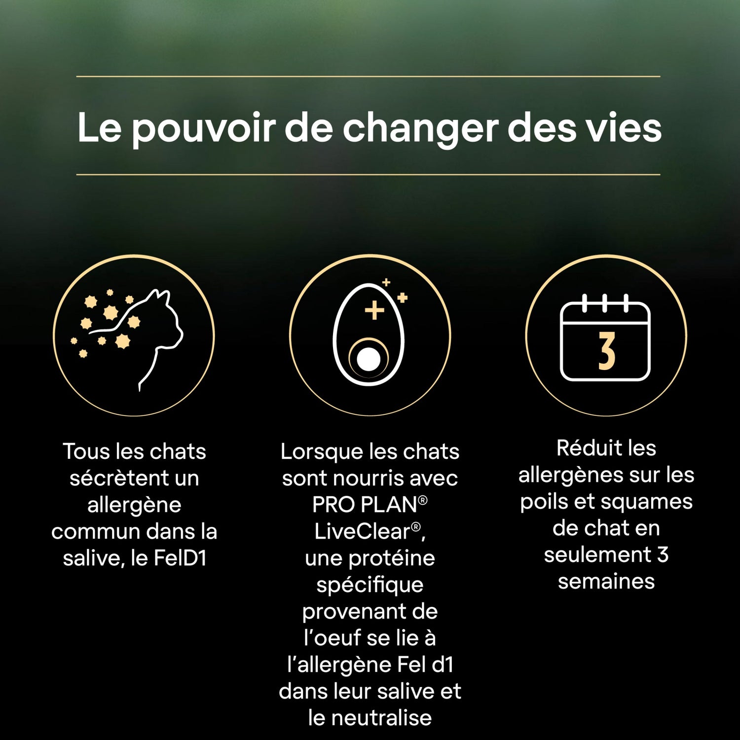 PRO PLAN LiveClear Sterilised Adult à la Dinde - Croquettes pour chat