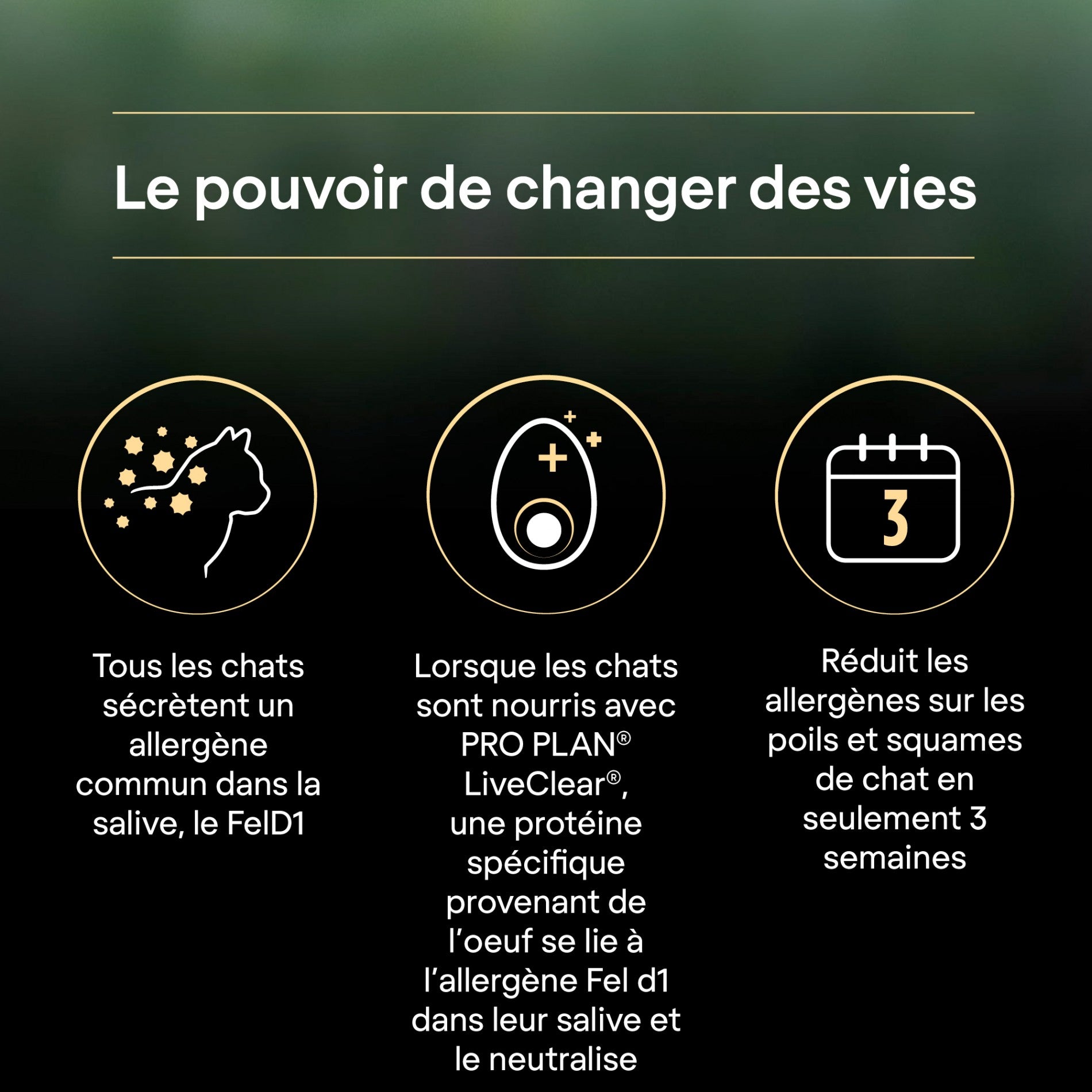 PRO PLAN LiveClear Sterilised Adult à la Dinde - Croquettes pour chat