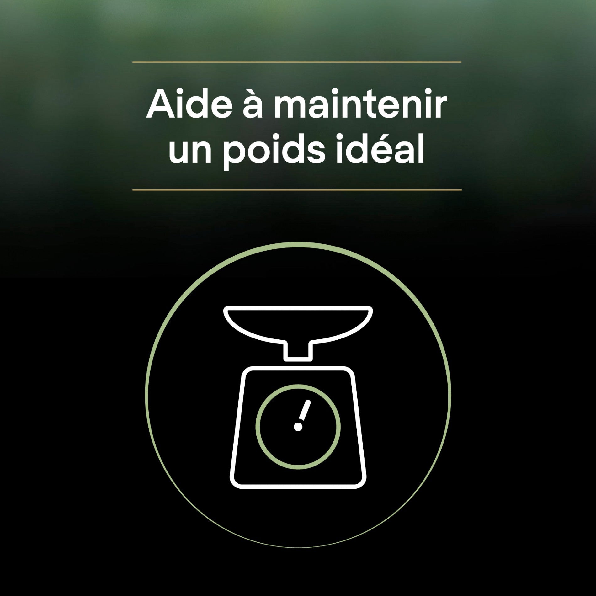 PRO PLAN LiveClear Sterilised Adult à la Dinde - Croquettes pour chat