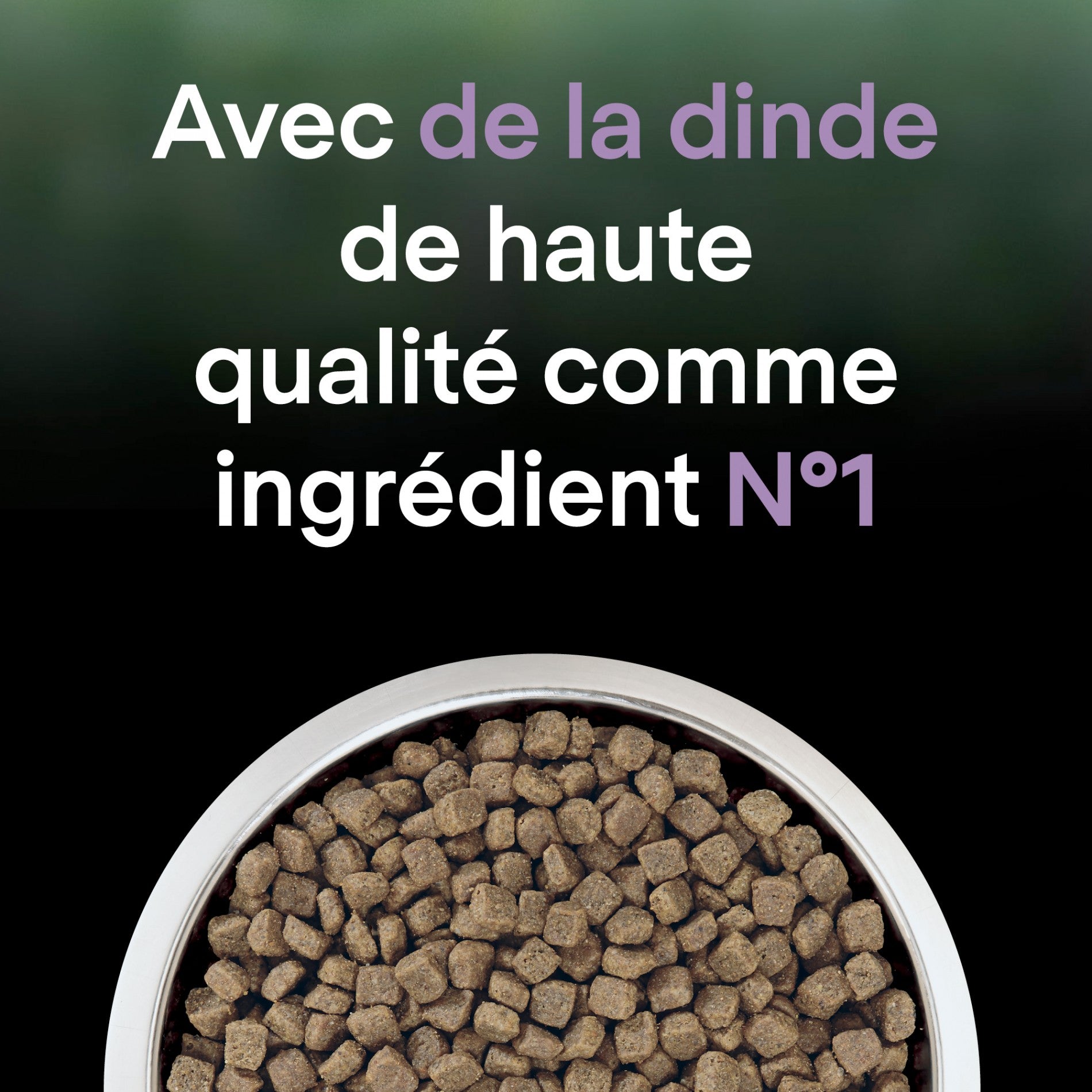 PRO PLAN LiveClear Sterilised Adult à la Dinde - Croquettes pour chat