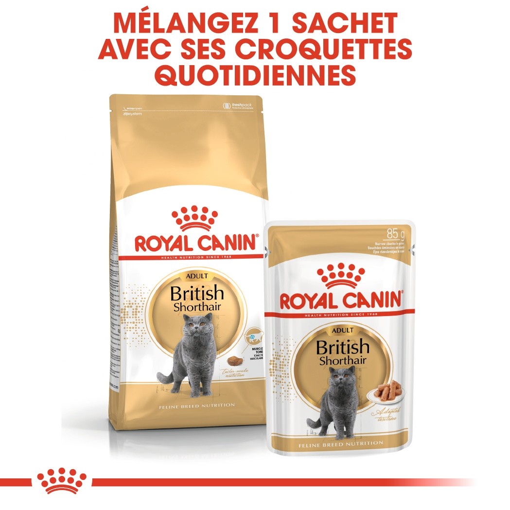 Royal Canin British Shorthair Adult