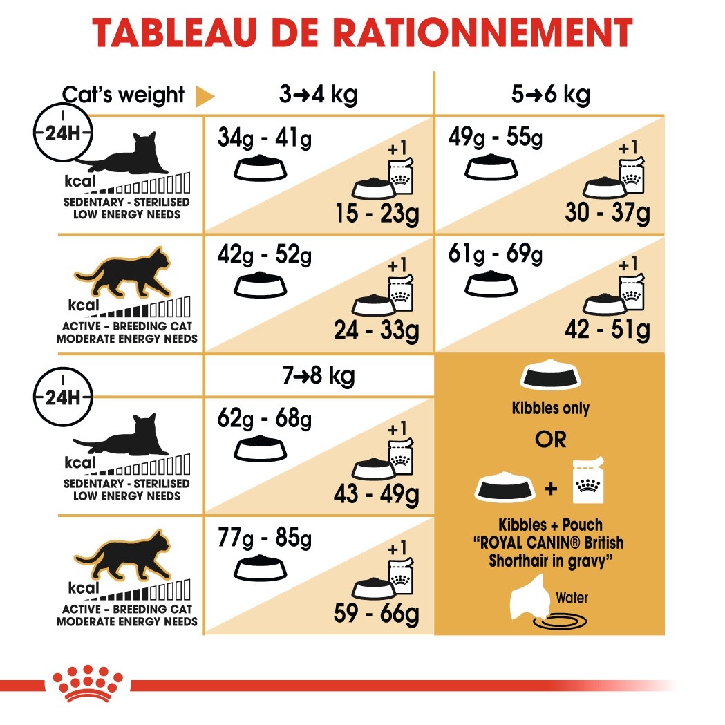 Royal Canin British Shorthair Adult - croquettes chat