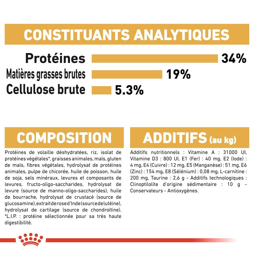 Royal Canin British Shorthair Adult