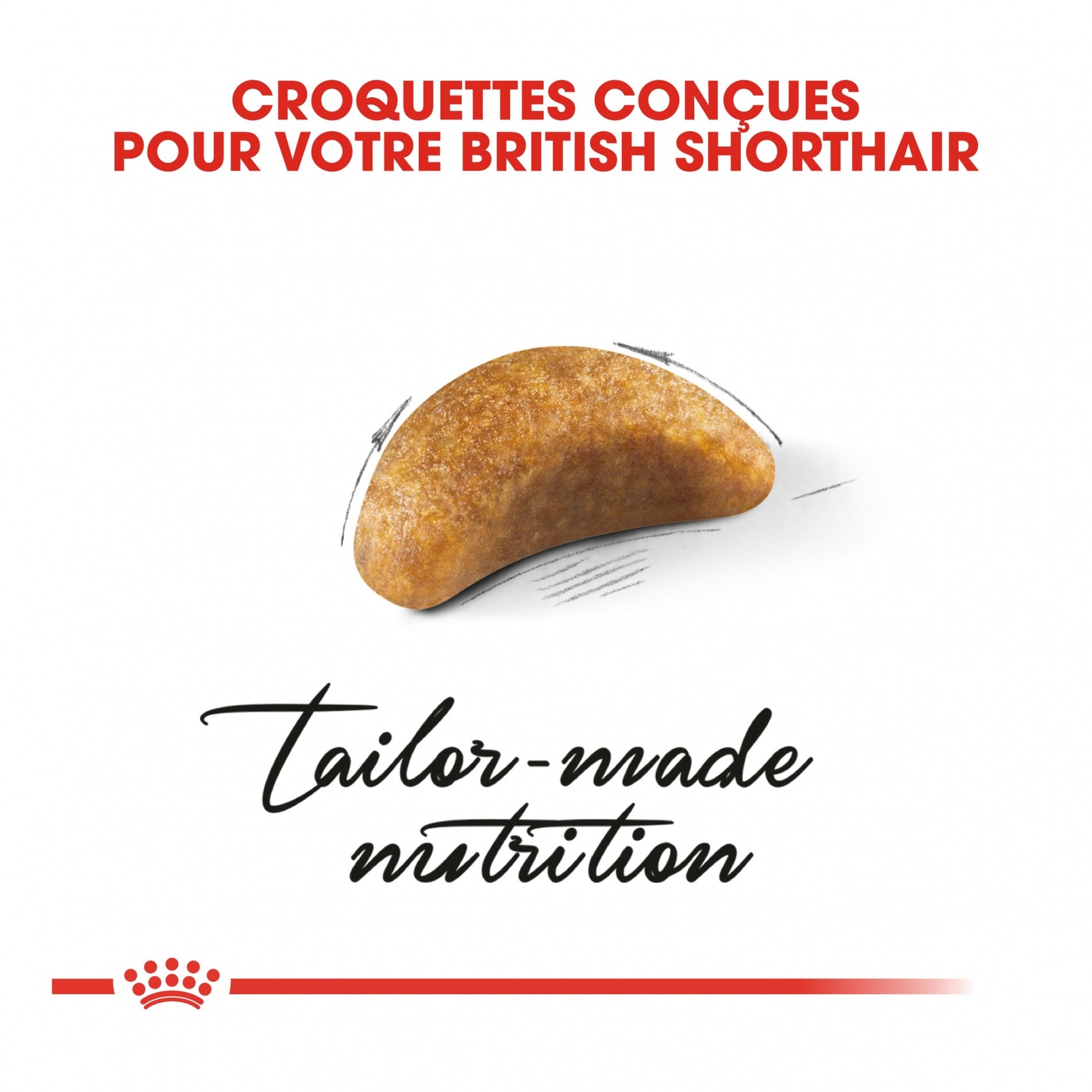 Royal Canin British Shorthair Kitten