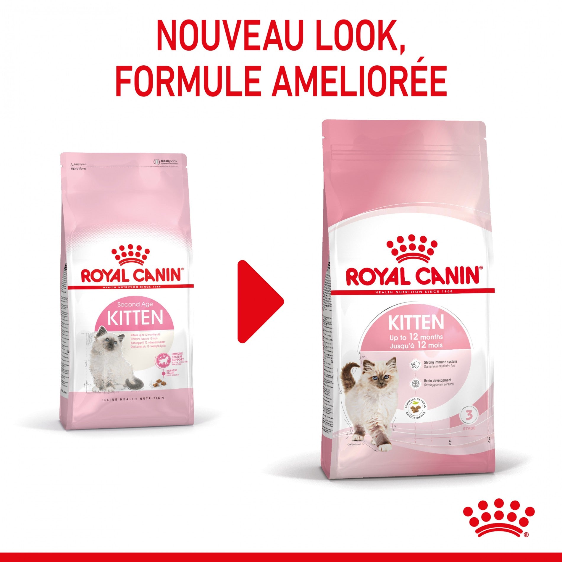 Royal Canin Kitten Second Age